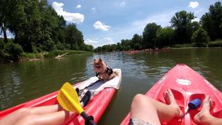 Cozy Tiny House on Working Farm, for Fun Glamping Trips in Kentucky - 9