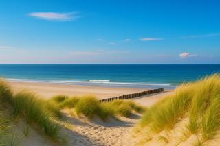 Premium-Strand Chalet an der Nordsee - Noordzee - Zeeland - 5