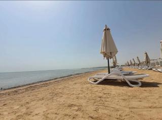 M10-2b-04 mangrove - 0