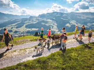 Apartment Straif by Interhome - 9