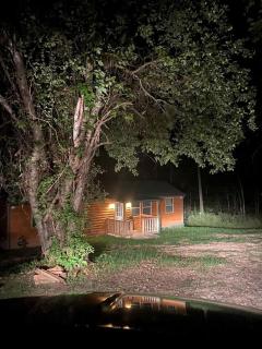 Cozy Cabin with Spa and Picnic Space in Marshall, Arkansas - 0