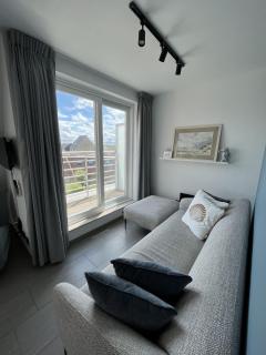 Perfect beach holiday at De Haan - Pets welcome - 2
