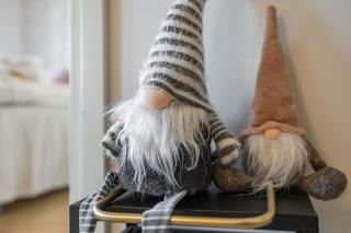 Koda Veisto - Northern Charm - Sauna & Parking - 6