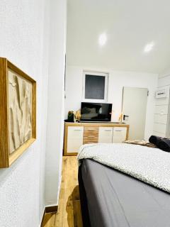 Modern Studio Apartment in Central Vienna - 5
