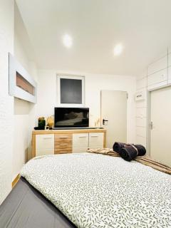 Modern Studio Apartment in Central Vienna - 4