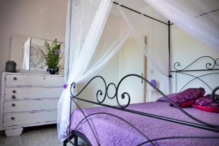 Il Ceppo - Spignana - 5