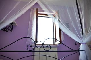 Il Ceppo - Spignana - 4