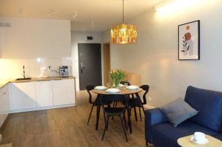 Apartament TOLKA odpoczywaj i pracuj - 7