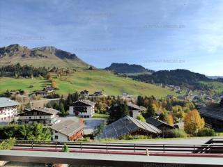 2 pièces + coin nuit, panoramique pistes, 4/6 pers., Vieux Village Chinaillon - FR-1-458-108 - 3