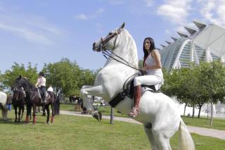 Cosy Flat Valencia - 4