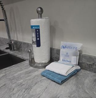 Stunning Beachside Ocean View Unit-CS70 - 3