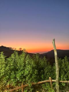 Dana horizon hotel - 6