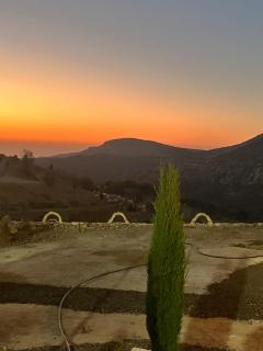 Dana horizon hotel - 7