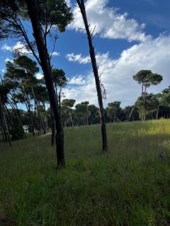 Departamento en peatonal y el mar - 4