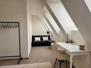 Modern apartment next to Zurich HB with roof terrace - 6