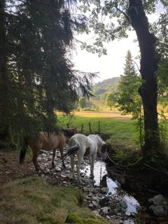 Auberge Les Bastides - 1