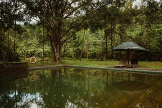 Greenex farm Resort - 1