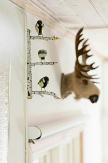 Small Cabin With Outdoor Kitchen By Forest Stream - 5