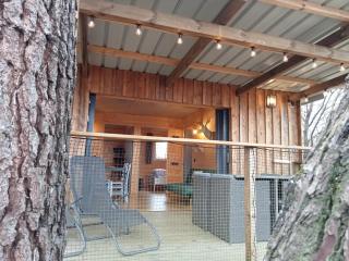 Les Cabanes de Brocas - Bélus - 1