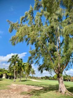 pool studio with beach near wifi and kitchen - 9