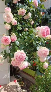 Chambre Hirondelle - 3