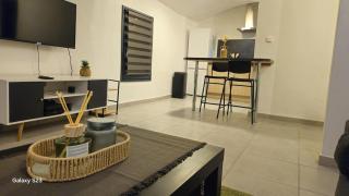 Charmant T2 centre-ville - 1