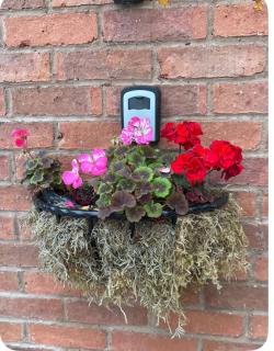 Surrounded by fields just 3 miles from Stratford - upon Avon - Alveston Pastures Retreat - 3