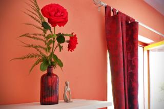 Il Ceppo - Spignana - 7