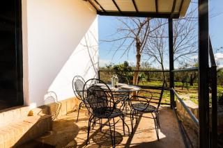 El Paraíso Del Olivar - 8