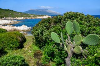 Villa Nodu Pianu Verde - 6