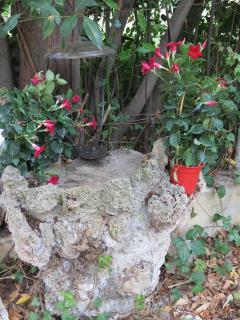 Studio Églantine - 1