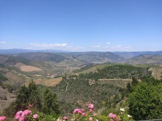 Douro Valley Private Terrace & Lounge - 4