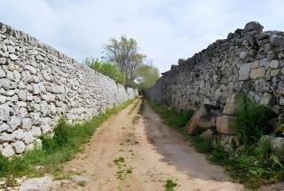 Villa S Venardia Gallipoli - 2