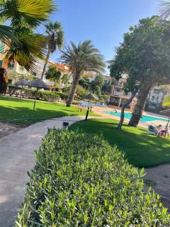 condomínio vila verde Pepper, Cactus T0,T1,T2 - 7