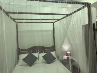 The Veenus Villa - 4