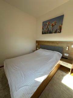 BEST VIEW ZLATIBOR-Breza 11 - 7