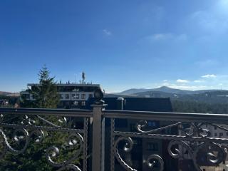 BEST VIEW ZLATIBOR-Breza 11 - 6