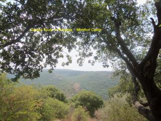 Zimmer Frey Manot - 4