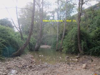 Zimmer Frey Manot - 3