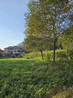 Puravida 4seasons - Nature Hideaway - 1