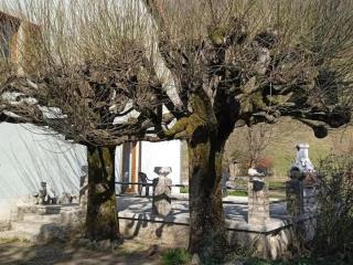 Maison spacieuse avec 4 chambres à Nevy-sur-Seille - 2