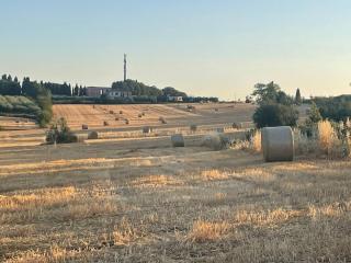 Trasimeno Holiday Home - 6