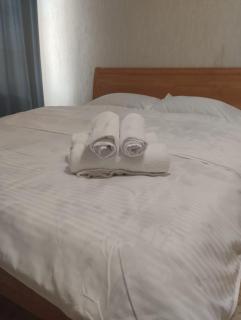 Уютная однушка в центре города Актобе по проспекту Абулхаир хана - 9