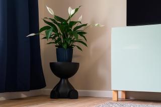 Sonnenterrasse & 2 King-Size DZ - Citynah & ruhig - 1