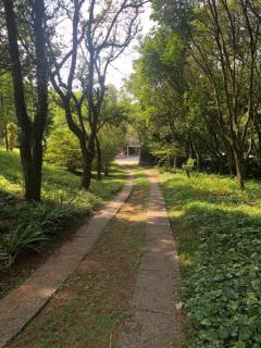 Chácara Privativa com Quadra de Beach Tennis - 3