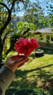 Chácara Privativa com Quadra de Beach Tennis - 2