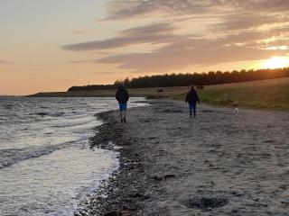 Holiday Home 'Rietvogel' - 7