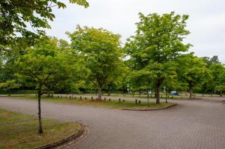 Villas at Park Campus - 3