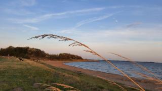 Holiday Home 'Rietvogel' - 0