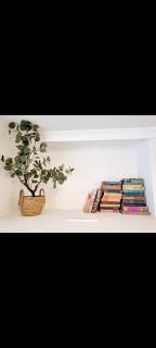 2 Bedroom Apartment, Zone 2 Mile End London 3 mins walk Station, Queen Mary Uni - 6